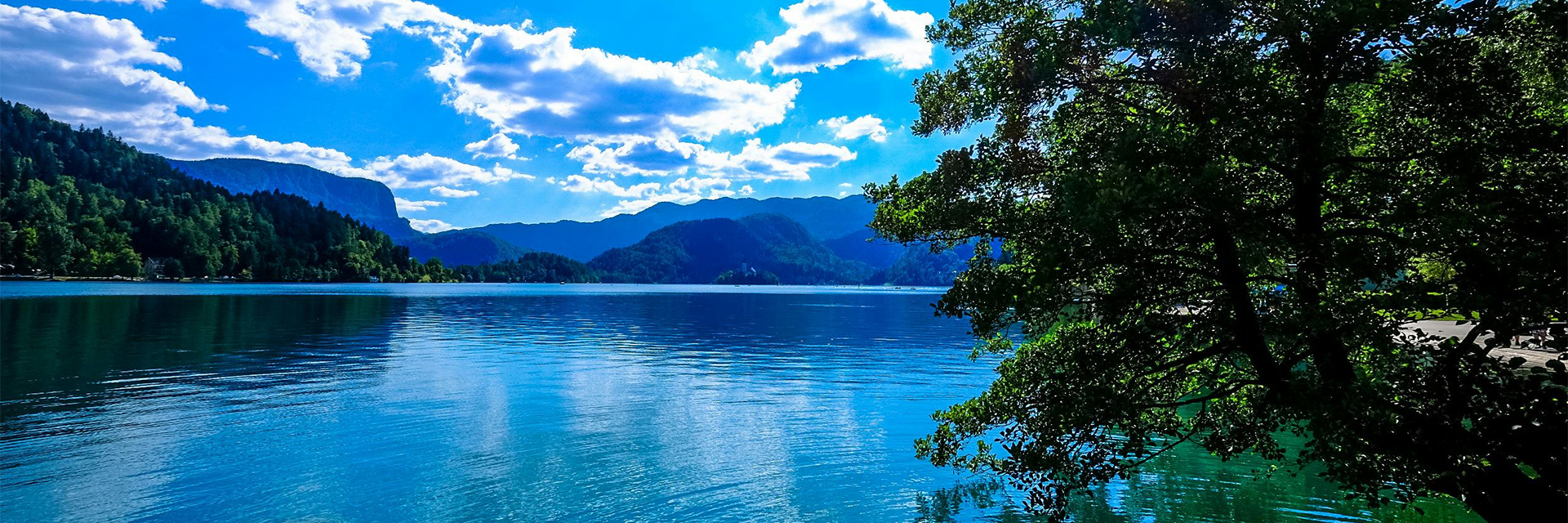 Serene view of a crystal-clear Alpine lake framed by lush forest, epitomizing the tranquility of a luxury Slovenia vacation.