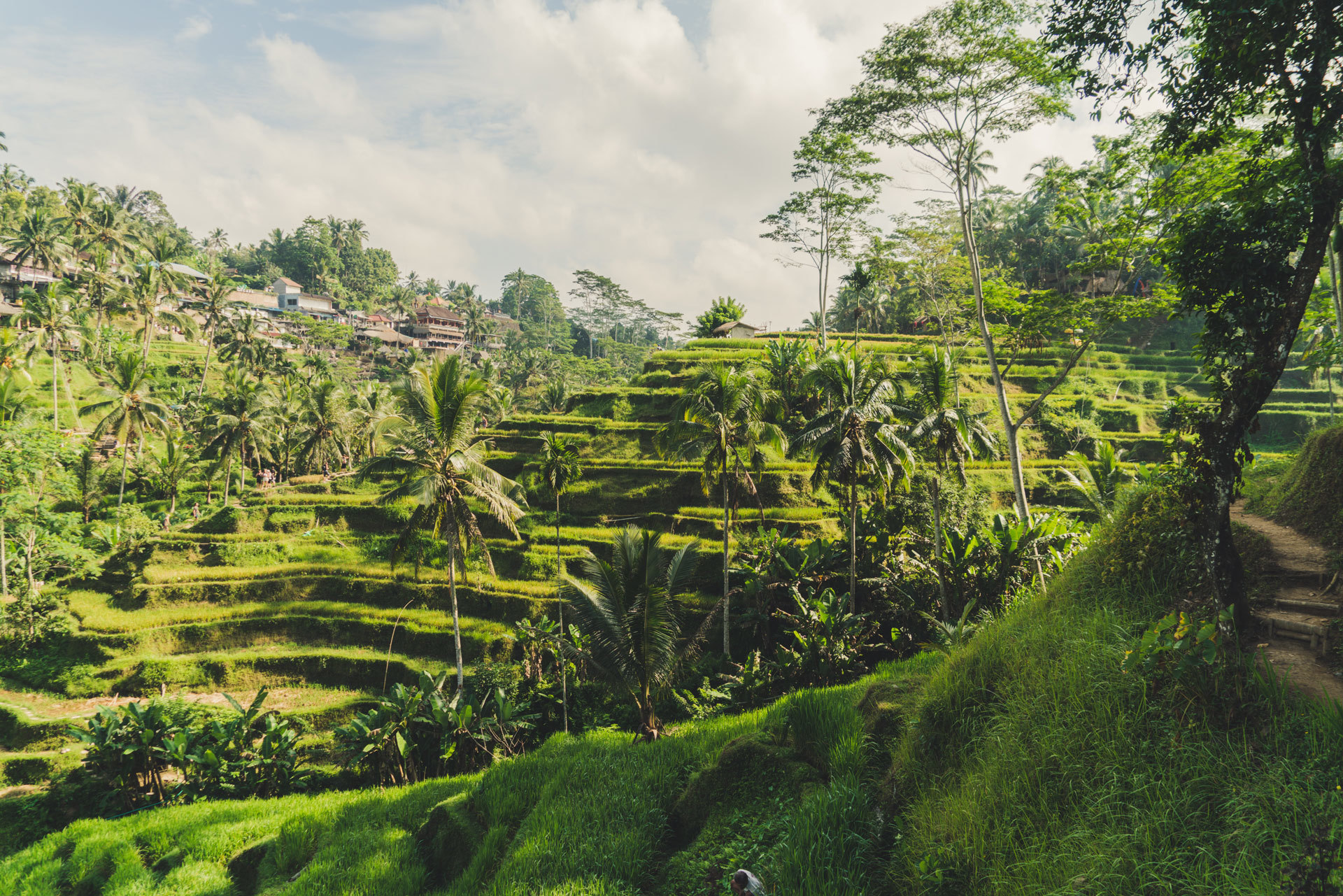 Ubud'un En Seçkin Bölgelerinden Biri Olan Villa San'da Hayalinizdeki Villayı Kiralayın