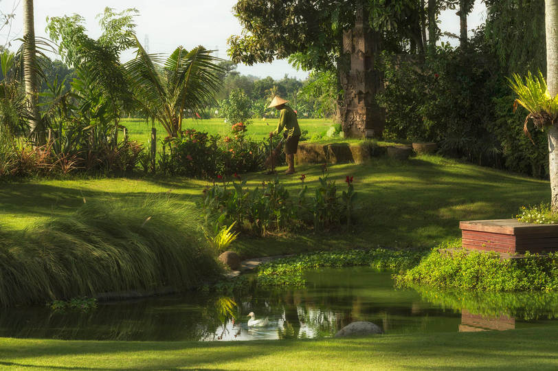 Özel Havuzlu Güzel Villa, Bali Villa 1007