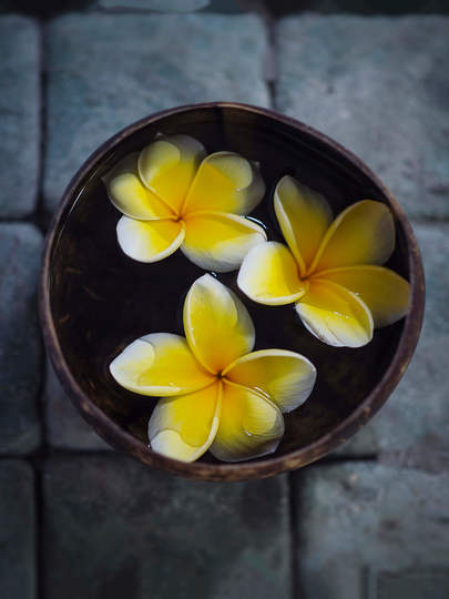 Özel Havuzlu Lüks 5 Yatak Odalı Villa, Bali Villa 1010