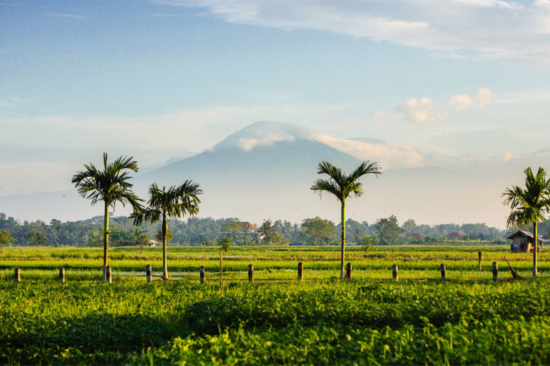 Bali'de 5 Yıldızlı Villa, Plaja Dakikalar, Bali Villa 1018