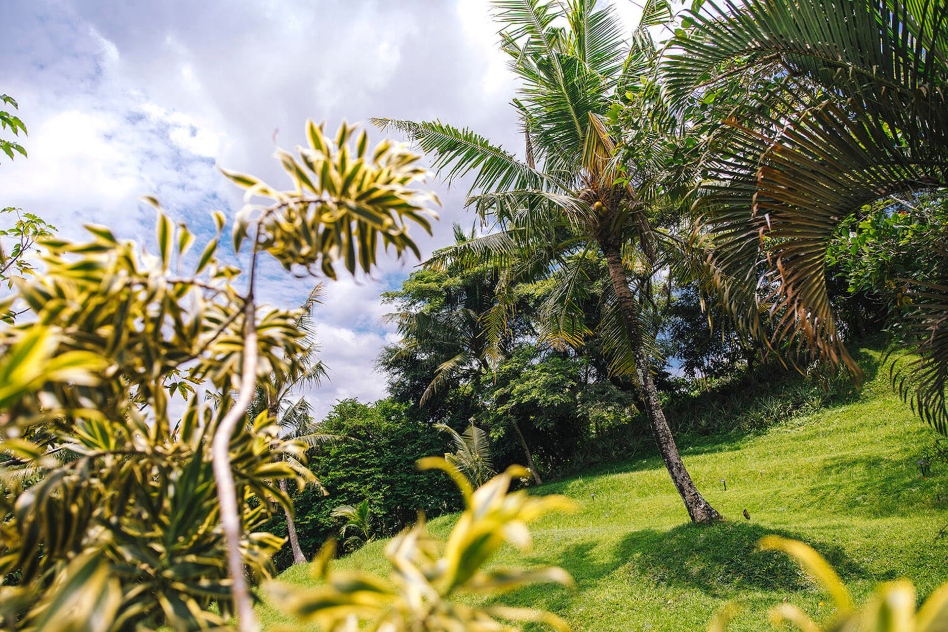 Bali'de 5 Yıldızlı Villa, Plaja Dakikalar, Bali Villa 1026