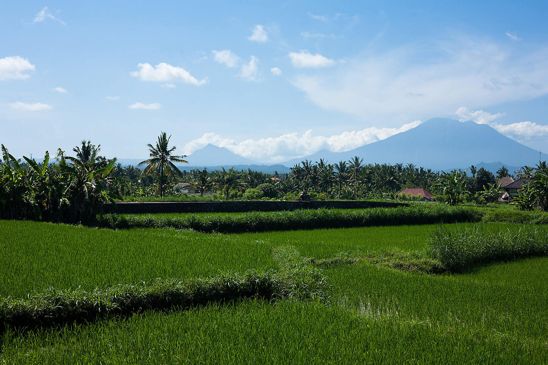 Villa Puri Nirwana, Sanur-Ketewel'de Birinci Sınıf Bir Konumda Bulunan Bu Lüks Villayı Seveceksiniz