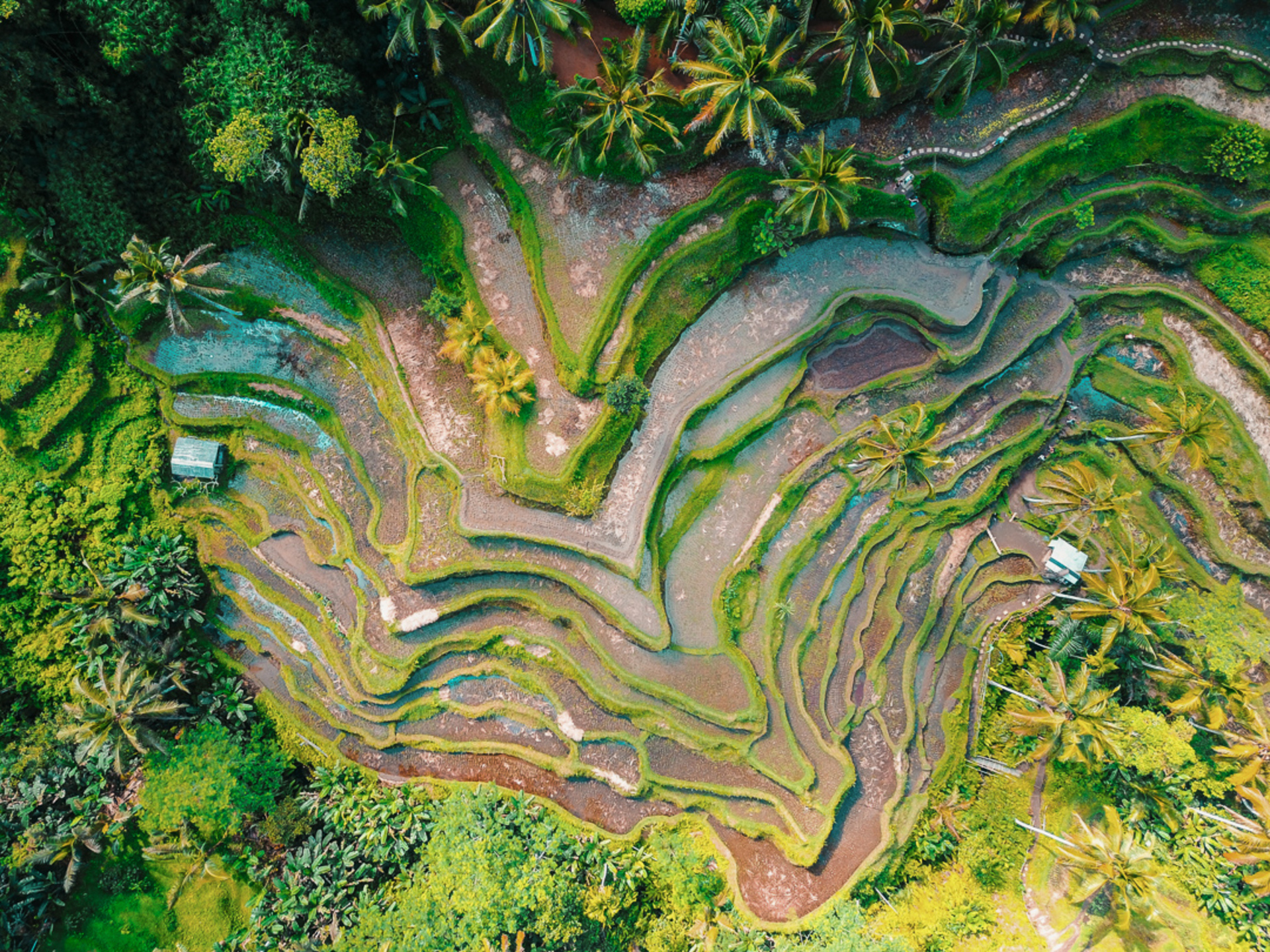 Kendi Özel Aşçınız Villa Zelie ile Lüks Bir Villada Ömür Boyu Tatilin Keyfini Çıkarın