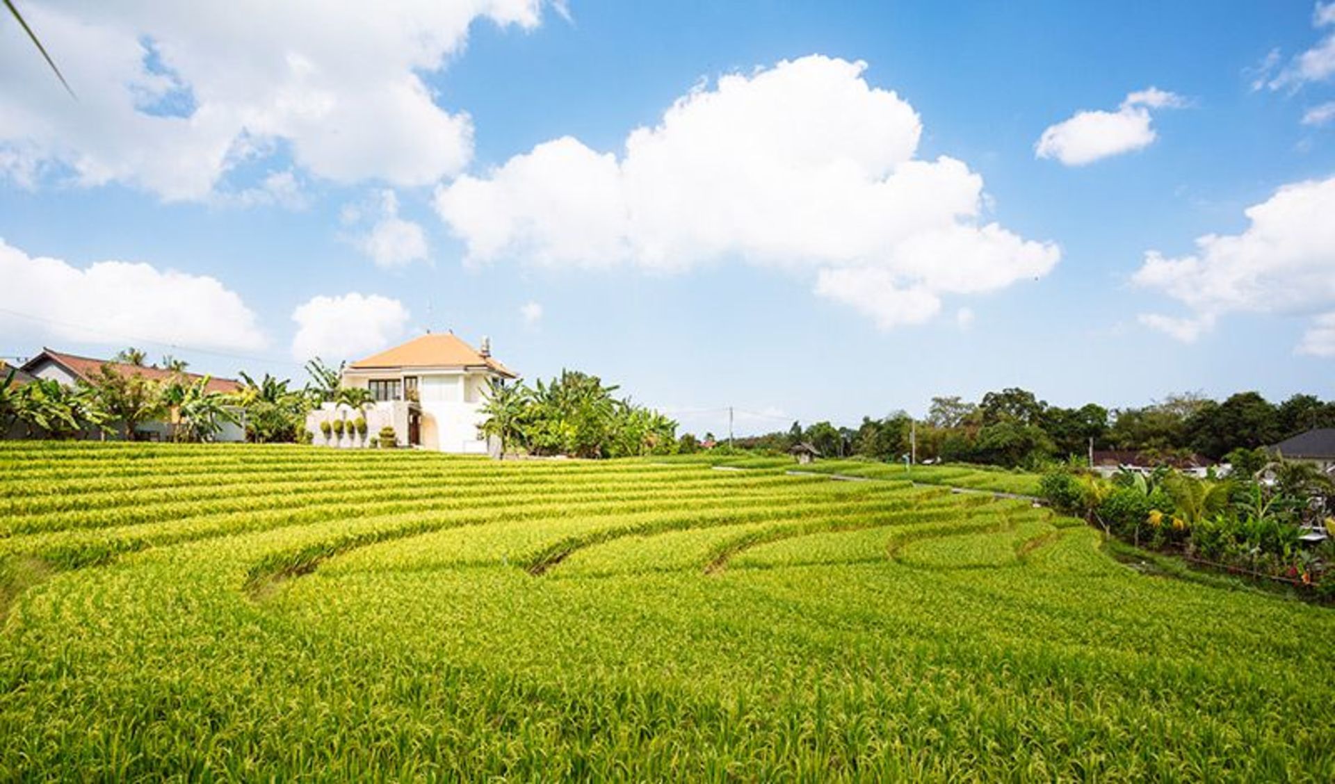 Özel Havuzlu Güzel Villa, Bali Villa 1063