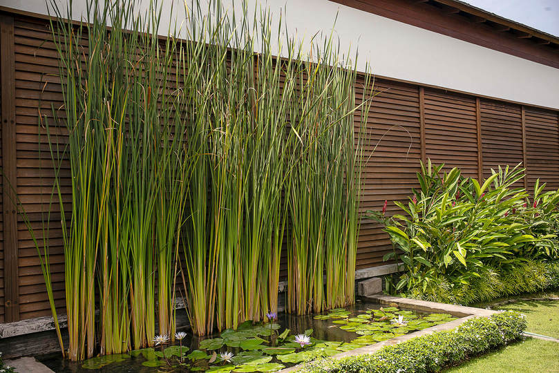 Bali'de Sahile Yakın Lüks Villa Kiralama, Bali Villa 1068