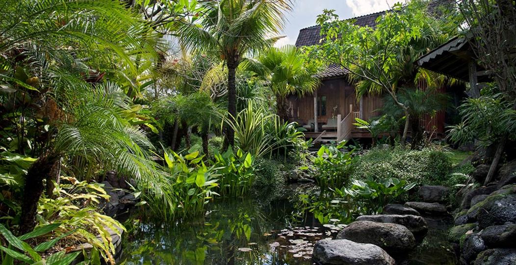 Özel Havuzlu Lüks 1 Yatak Odalı Villa, Bali Villa 1093