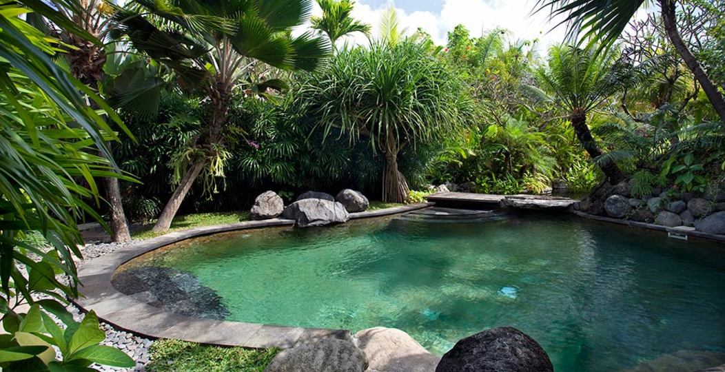 Özel Havuzlu Lüks 1 Yatak Odalı Villa, Bali Villa 1093