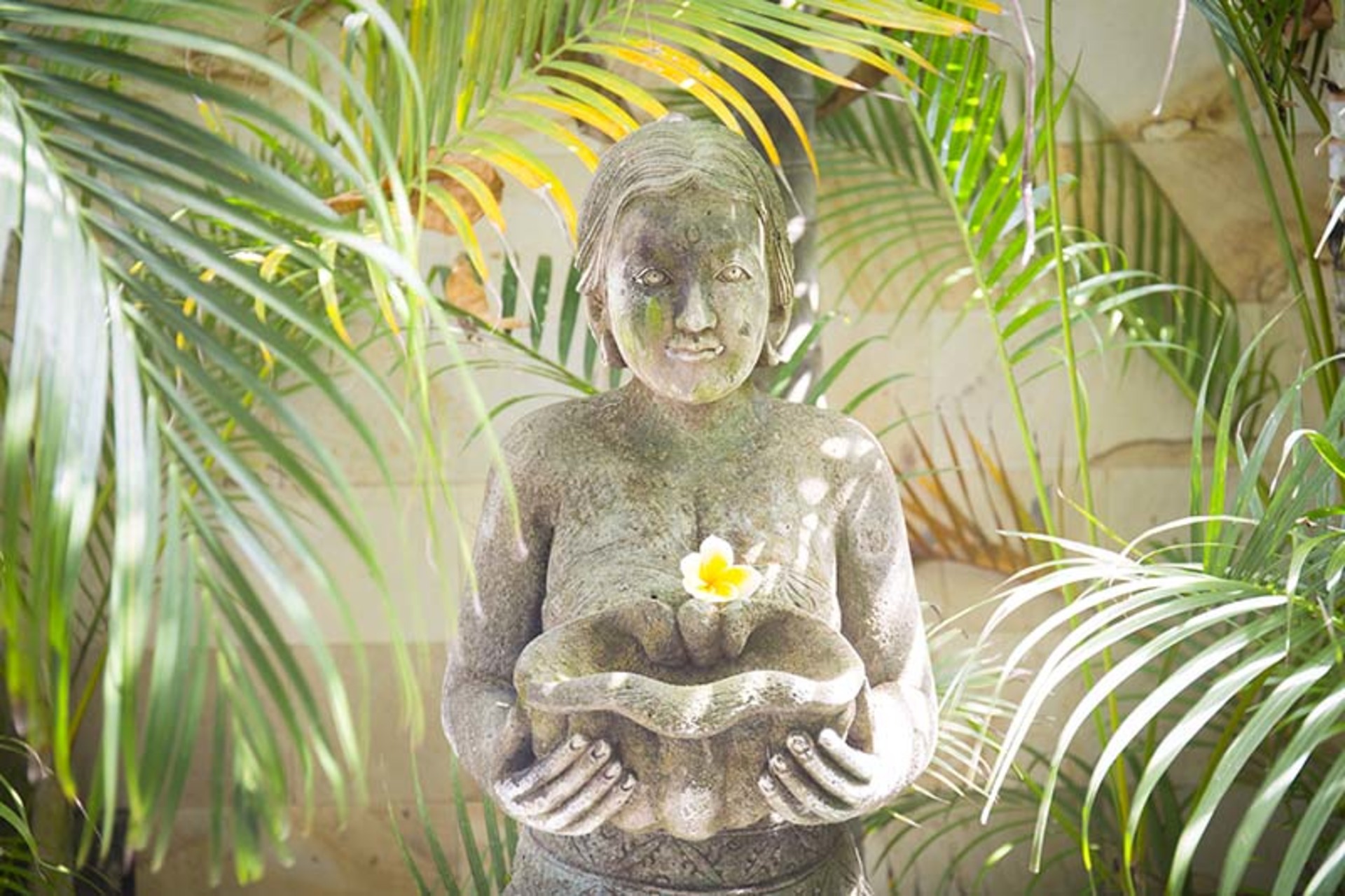 Özel Havuzlu Lüks 9 Yatak Odalı Villa, Bali Villa 1125