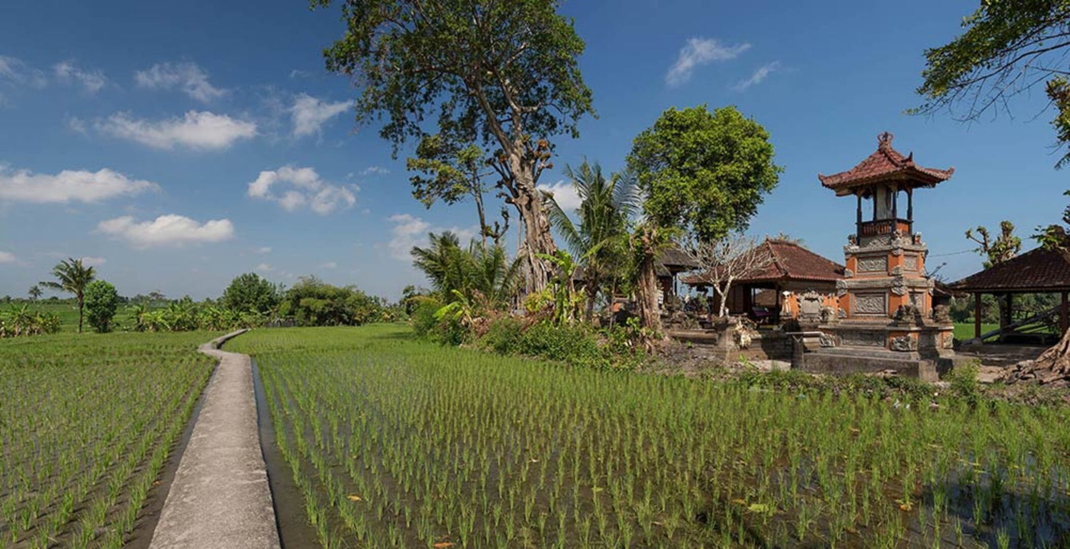 Bali'de Sahile Yakın Lüks Villa Kiralama, Bali Villa 1130