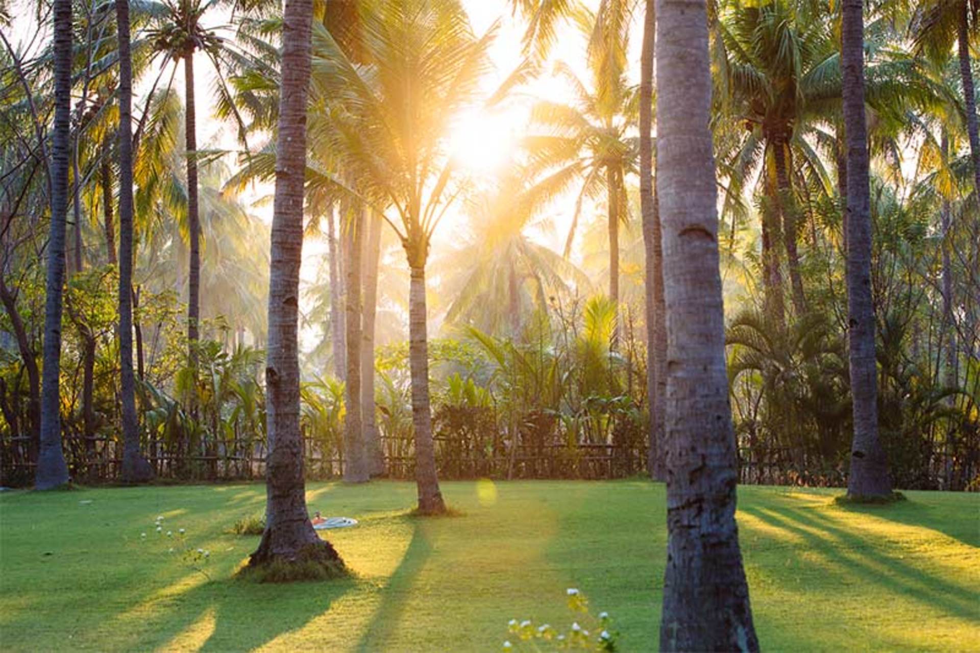 Özel Havuzlu Lüks 4 Yatak Odalı Villa, Lombok Villa 1134