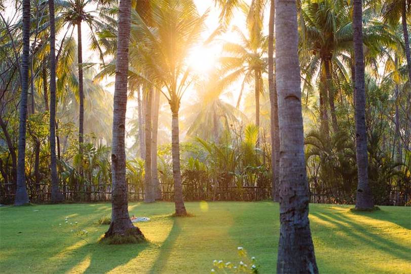 Özel Havuzlu Lüks 4 Yatak Odalı Villa, Lombok Villa 1134