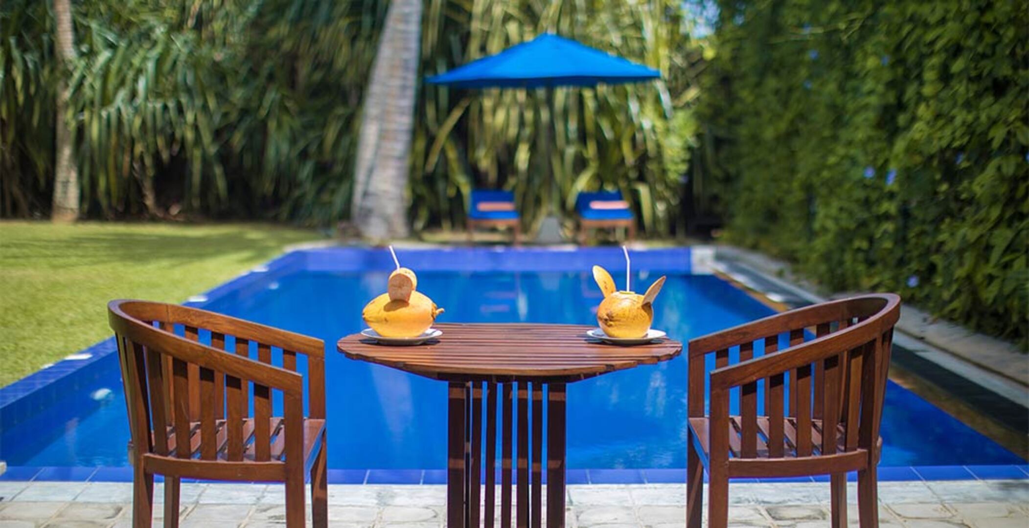 Bu Güzel Villa, Villa Saffron & Blue'da kalırken Sri Lanka'da Lüks Bir Tatil Deneyimi