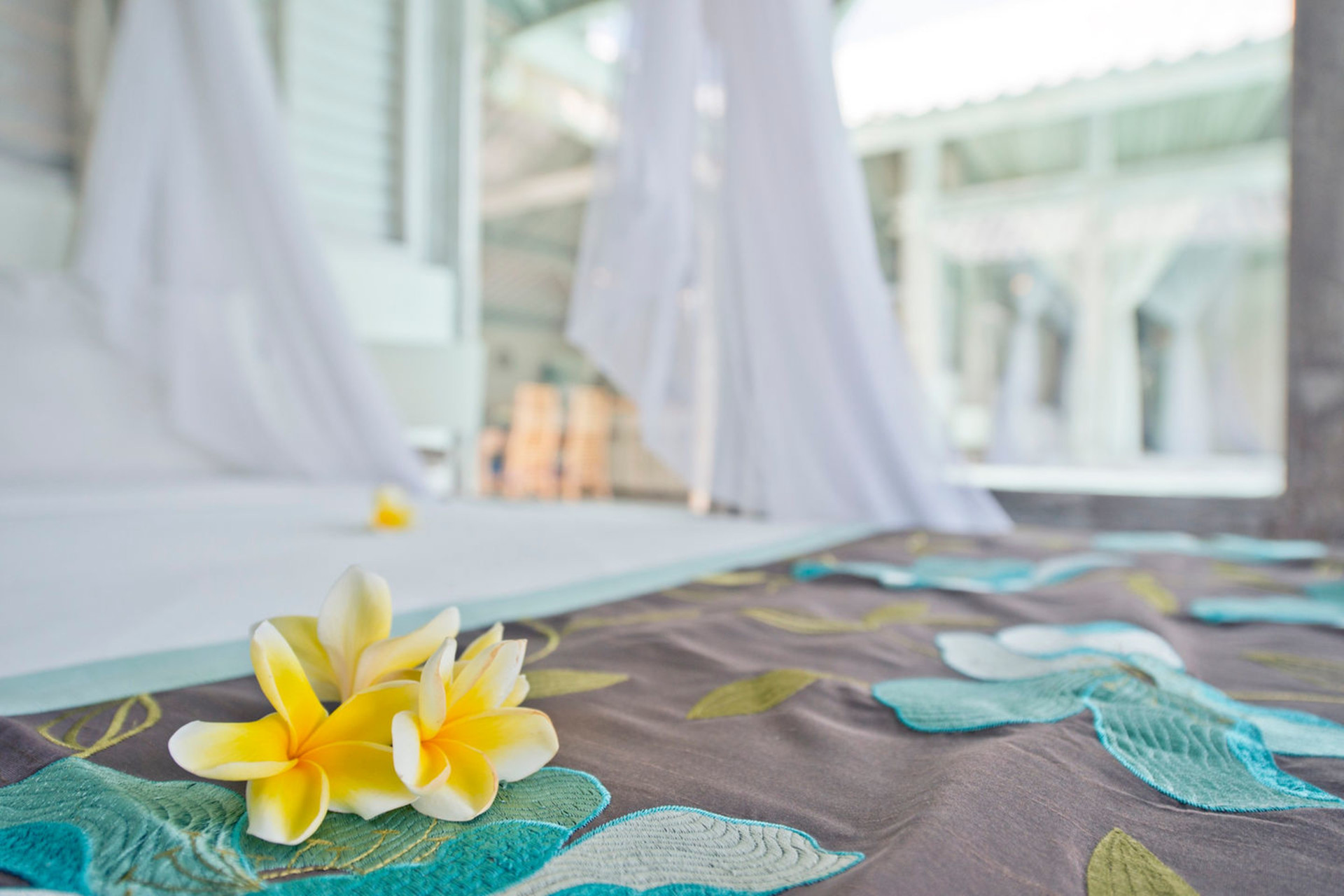 Sonunda, Seminyak'ta Kendi 5 Yıldızlı Özel Villanızı Uygun Fiyata Kiralayın, Bali Villa 1145