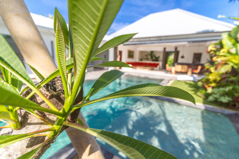 Sonunda, Seminyak'ta Kendi 5 Yıldızlı Özel Villanızı Uygun Fiyata Kiralayın, Bali Villa 1155