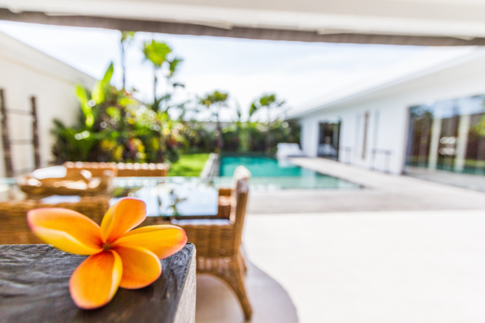 Seminyak'ta Özel Havuzlu ve Tam Personelli Özel Tatil Villanızı Kiralamak İçin Eksiksiz Kılavuz, Bali Villa 1156
