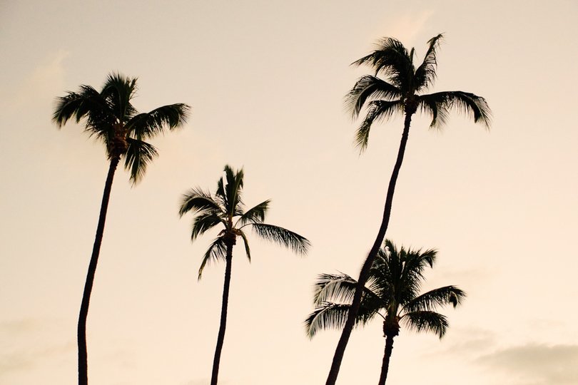Kerobokan'da Mükemmel Bir Konumda Güzel 5 Yıldızlı Tatil Villası, Tarihlerinizi Güvence Altına Almak İçin Erken Rezervasyon Yapın, Villa Bali 2006