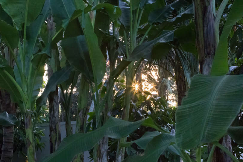 Bunu Hayal Edin, Ubud'da 5 Yıldızlı Lüks Bir Villada Tatilinizin Keyfini Çıkarın, Villa Bali 2032