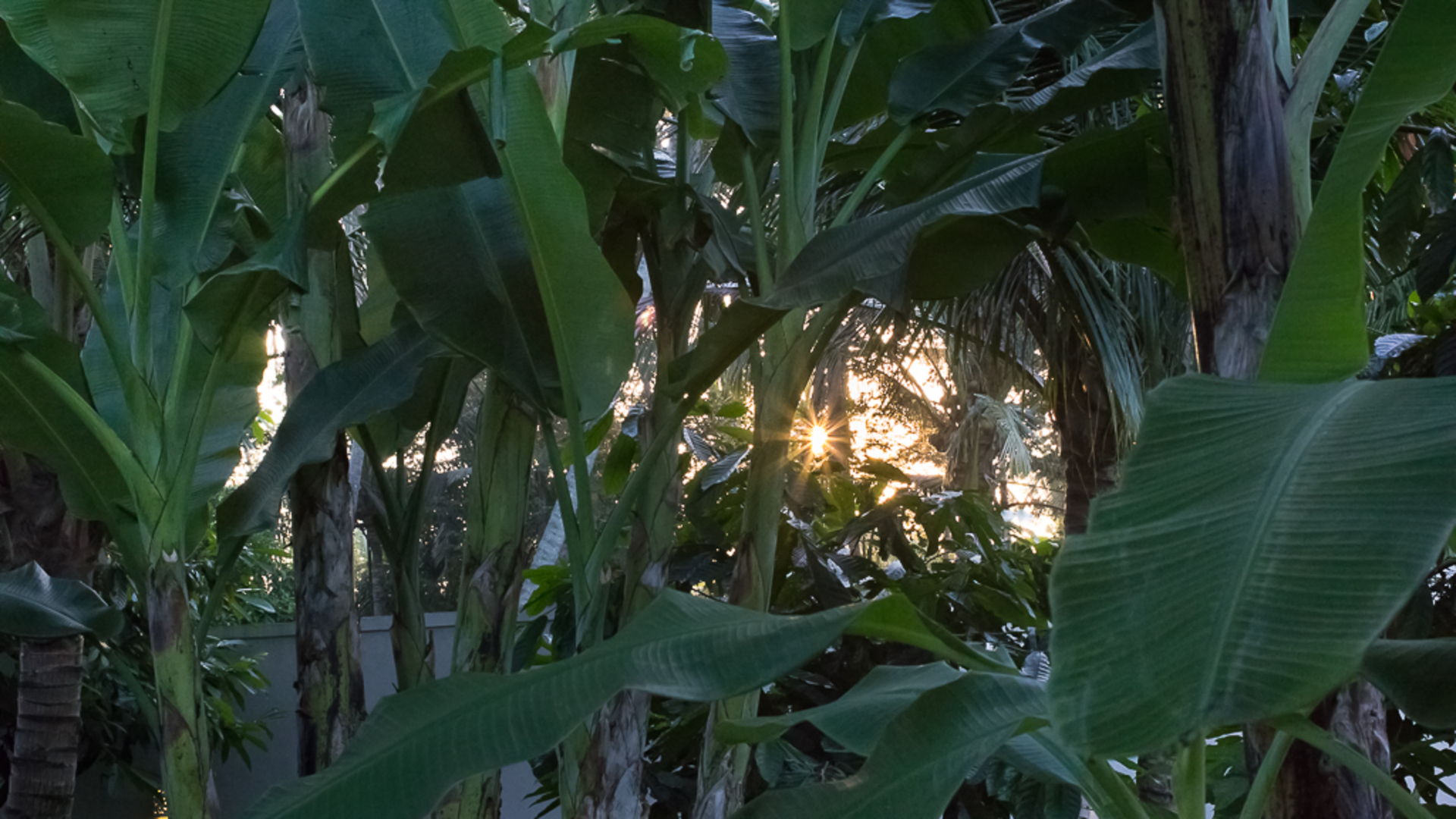 Ubud'da Mükemmel Bir Konumda Güzel 5 Yıldızlı Tatil Villası, Tarihlerinizi Garantilemek İçin Erken Rezervasyon Yapın, Villa Bali 2036