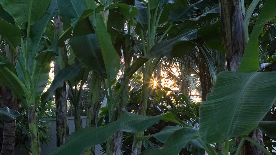 Ubud'da Mükemmel Bir Konumda Güzel 5 Yıldızlı Tatil Villası, Tarihlerinizi Garantilemek İçin Erken Rezervasyon Yapın, Villa Bali 2036