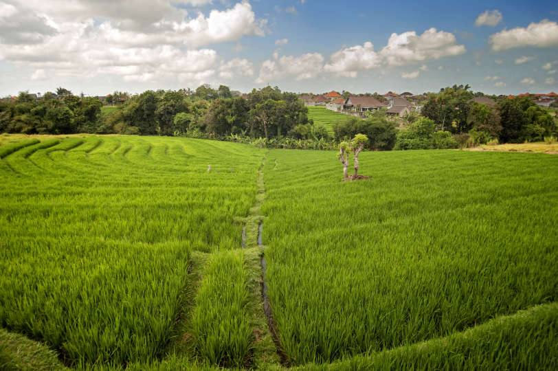 Bali'de Sahile Yakın Lüks Villa Kiralama, Bali Villa 2054