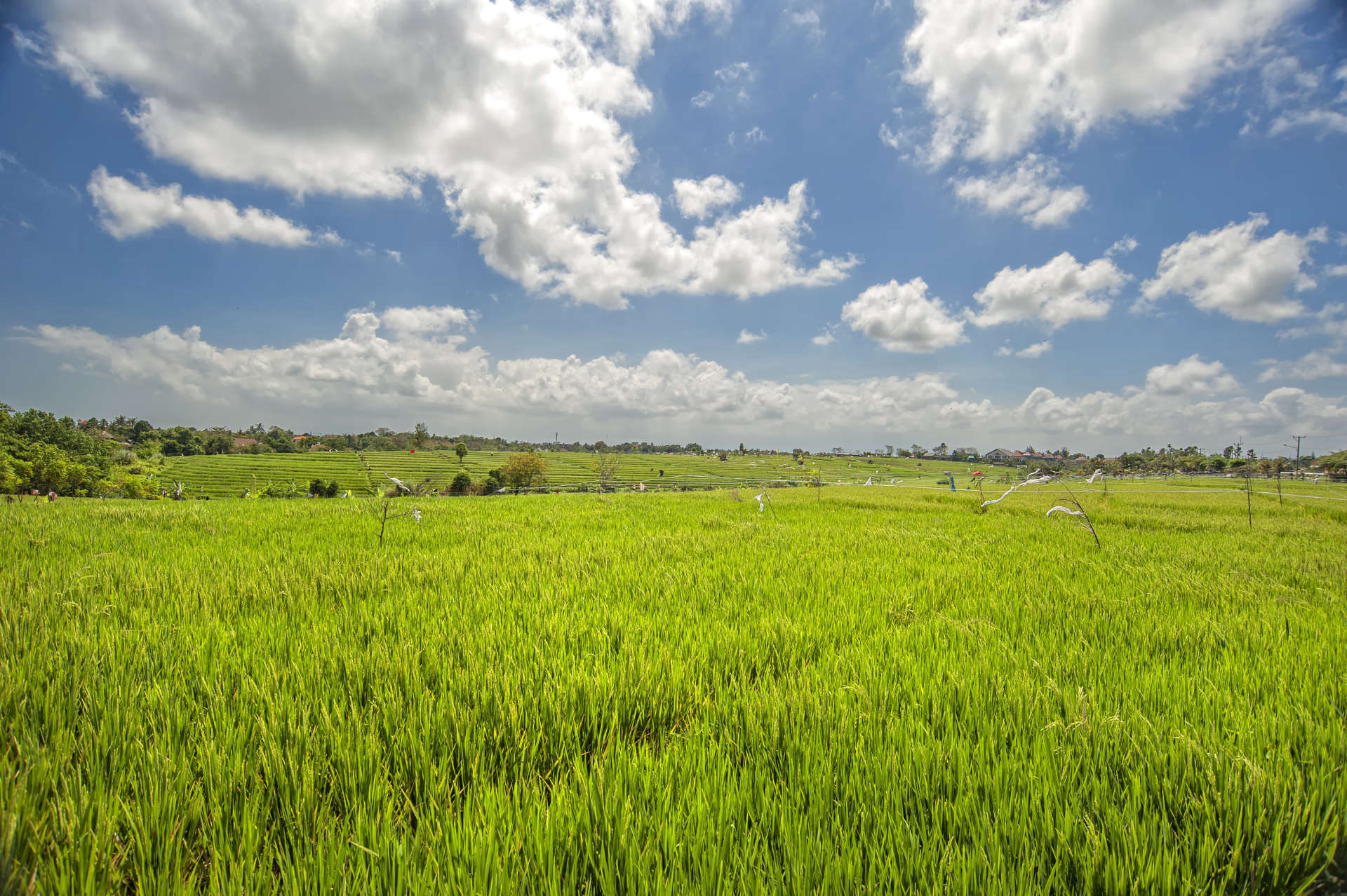 Bali'de Sahile Yakın Lüks Villa Kiralama, Bali Villa 2054