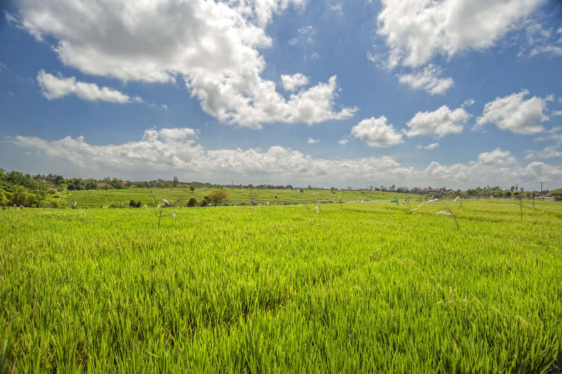 Bali'de Sahile Yakın Lüks Villa Kiralama, Bali Villa 2054