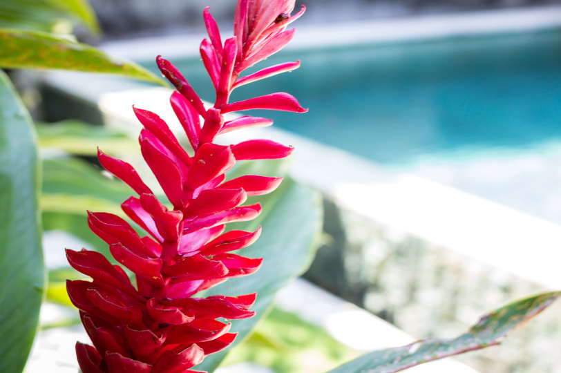 Bali'de Sahile Yakın Lüks Villa Kiralama, Bali Villa 2074