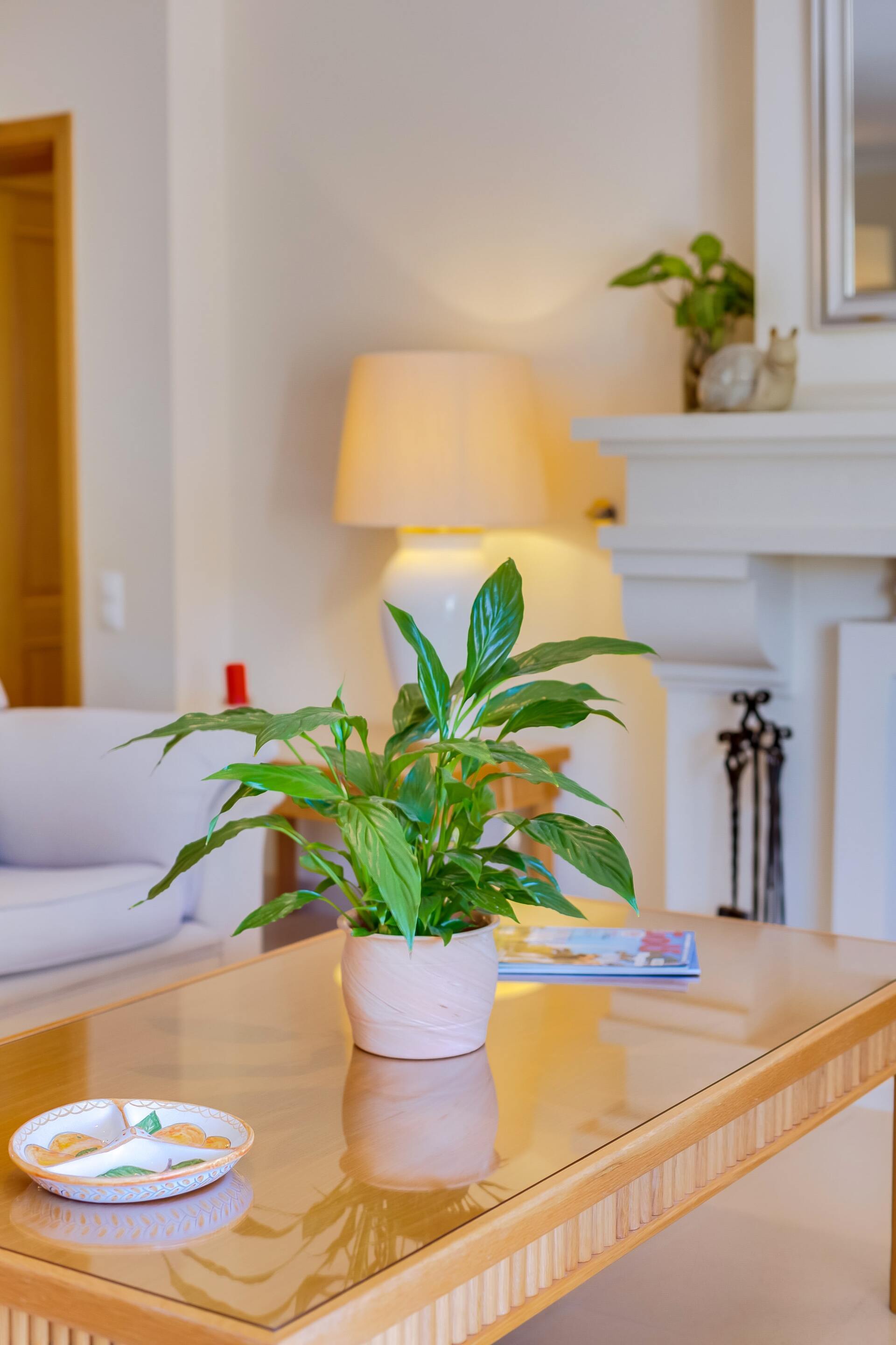 Aileniz Vale Do Lobo Resort, Algarve Villa 1050'deki Lüks Özel Villanızdaki Özel Havuza Bayılacak