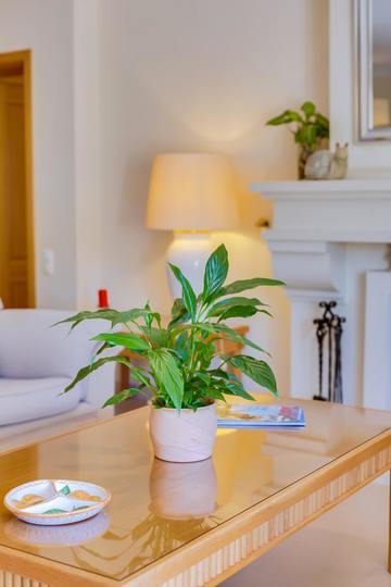 Aileniz Vale Do Lobo Resort, Algarve Villa 1050'deki Lüks Özel Villanızdaki Özel Havuza Bayılacak
