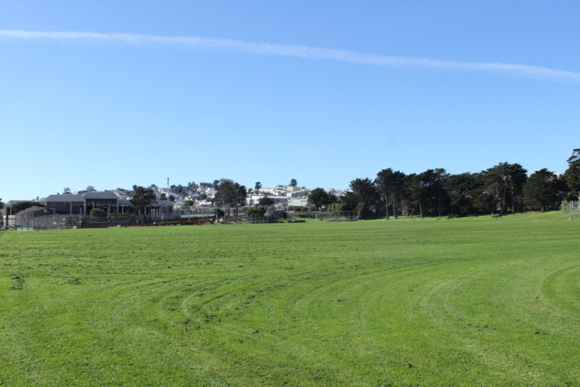 Nihai Daire, San Francisco Daire 1029