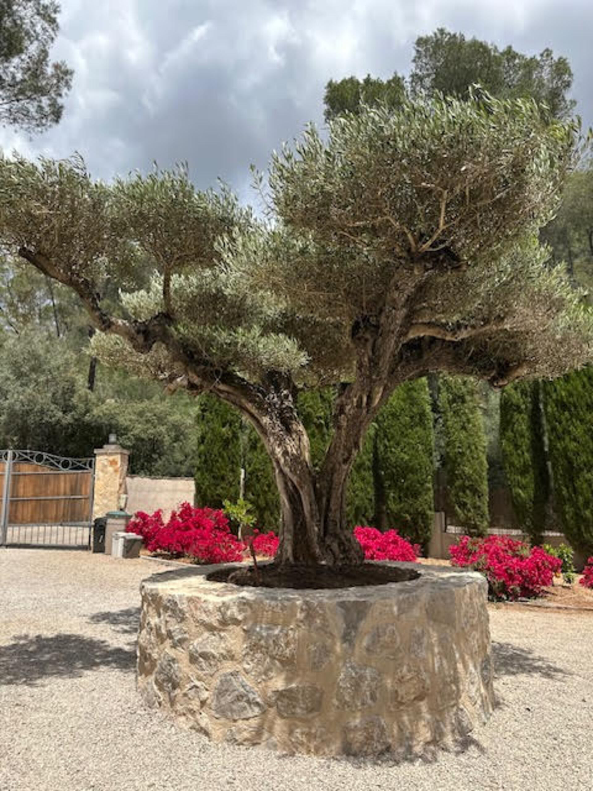 Ada Kaçışınız, Balear Adaları Villa 1480
