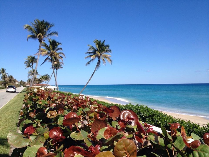 Resim Bu Güzel Palm Beach Vahasını Kiralama, West Palm Beach Villa 1856