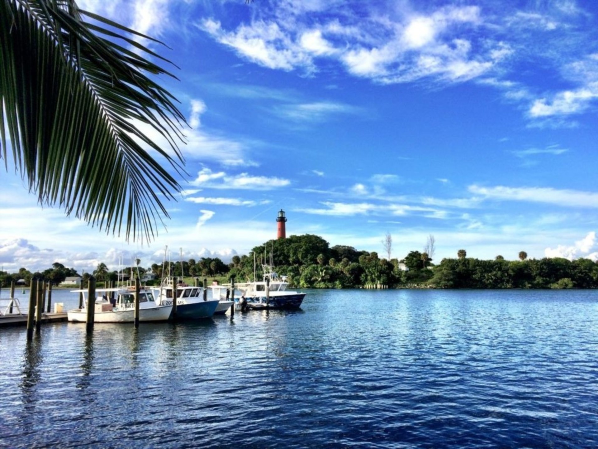 Resim Bu Güzel Palm Beach Vahasını Kiralama, West Palm Beach Villa 1856