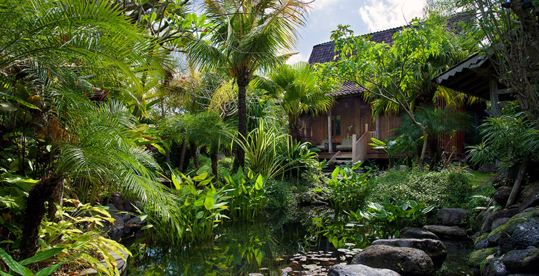 Canggu'daki Güzel Villanızda Özel Havuzunuzda Rahatlarken Resim, Bali Villa 2119