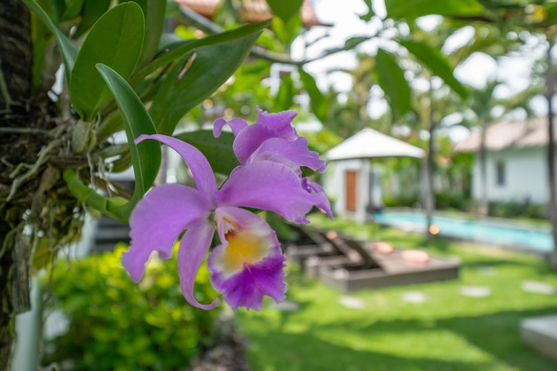 Kabupaten Badung'da Özel Havuzlu ve Tam Personelli Nihai 5 Yıldızlı Tatil Villası, Bali Villa 2099