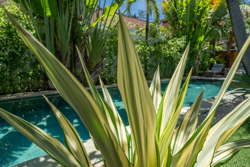 Ailenizin Double Six Beach'e Yakın 4 Yatak Odalı Lüks Bir Tatil Villası Kiraladığını Hayal Edin, Bali Villa 2116