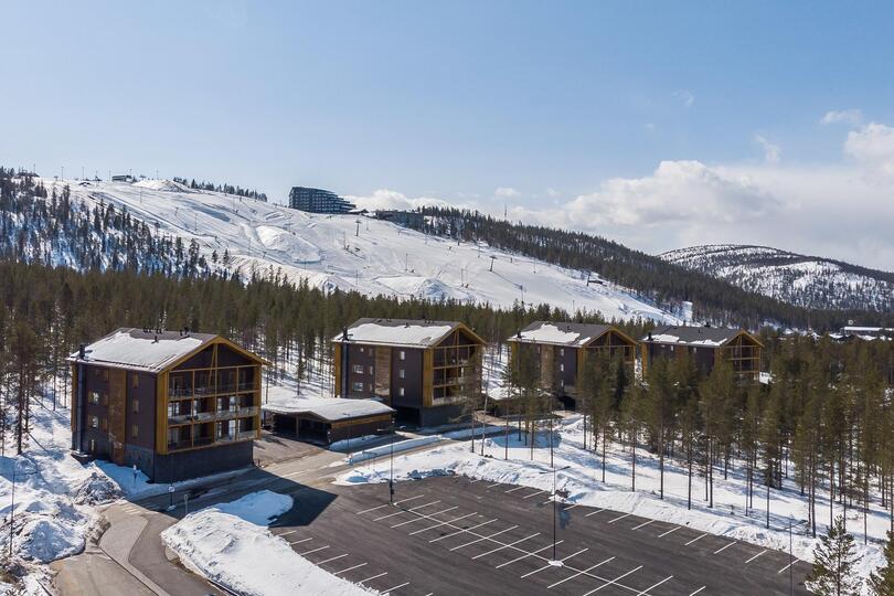 Lüks 4 Yatak Odalı Villa, Kuzey Savonia Villası 1002