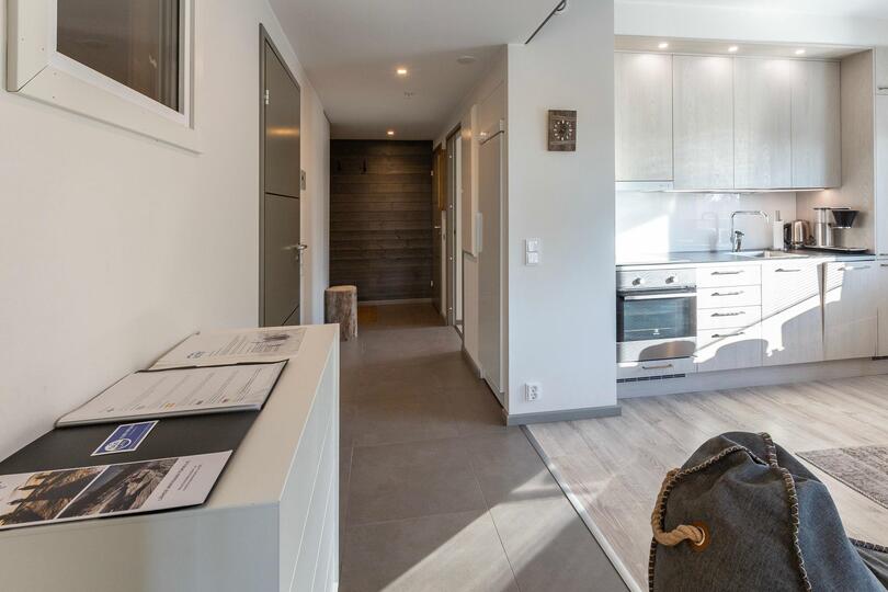 Lüks 4 Yatak Odalı Villa, Kuzey Savonia Villası 1002