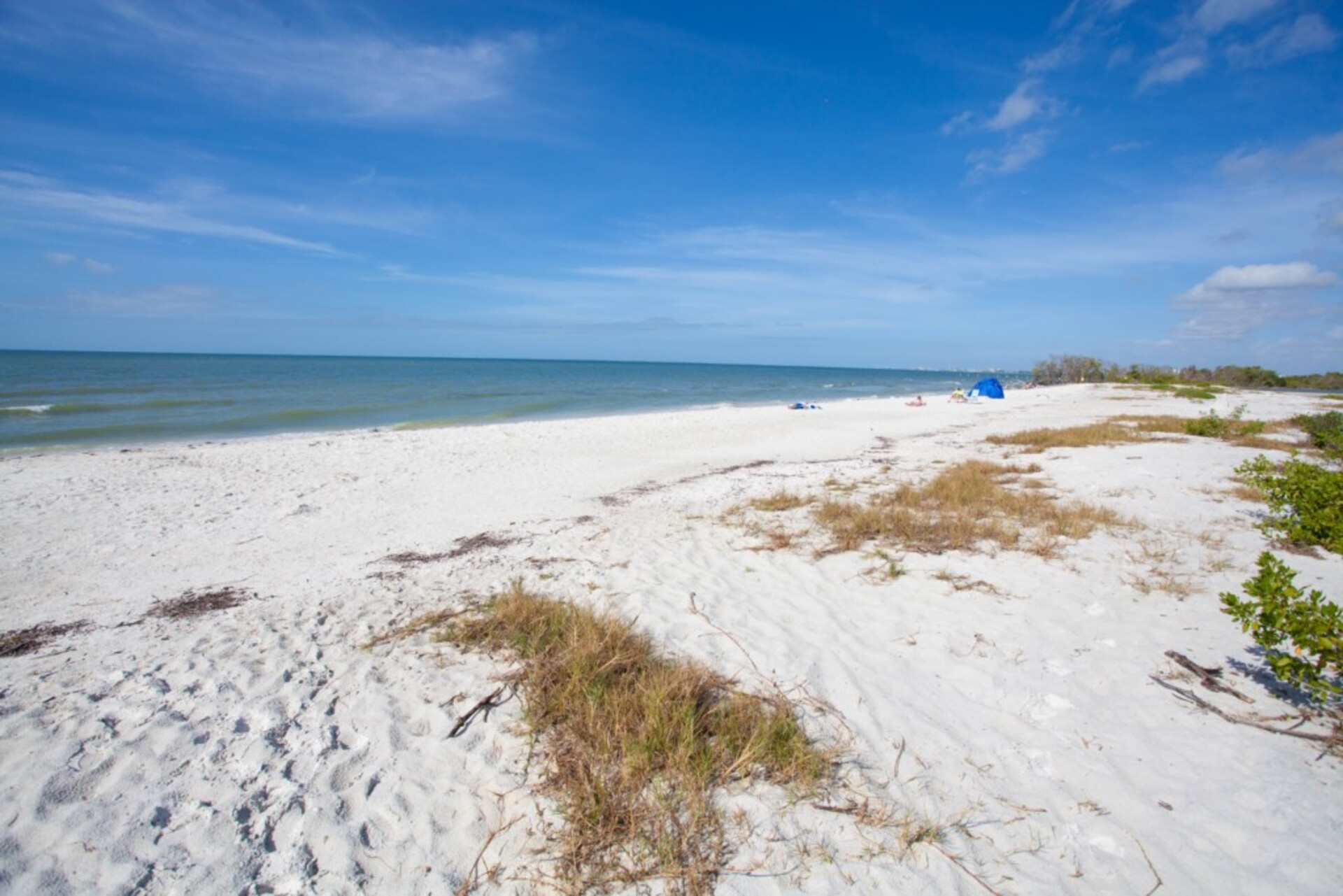 Estero Beach & Tennis'in En Prestijli Bölgelerinden Birinde 5 Yıldızlı Daire, Florida Condo 5946