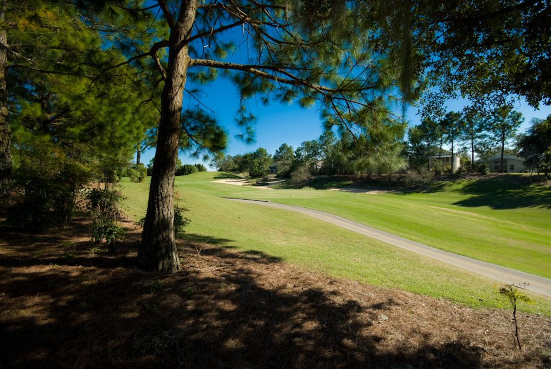 The Abbey at West Haven, Florida'nın En Prestijli Bölgelerinden Birinde 5 Yıldızlı Villa Villa 5998