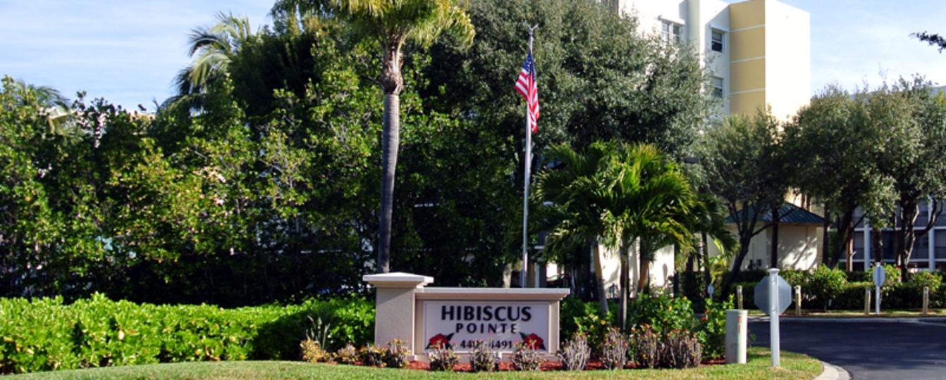 Hibiscus Point'te Lüks Çağdaş Tarzda Daire, Florida Daire 5933