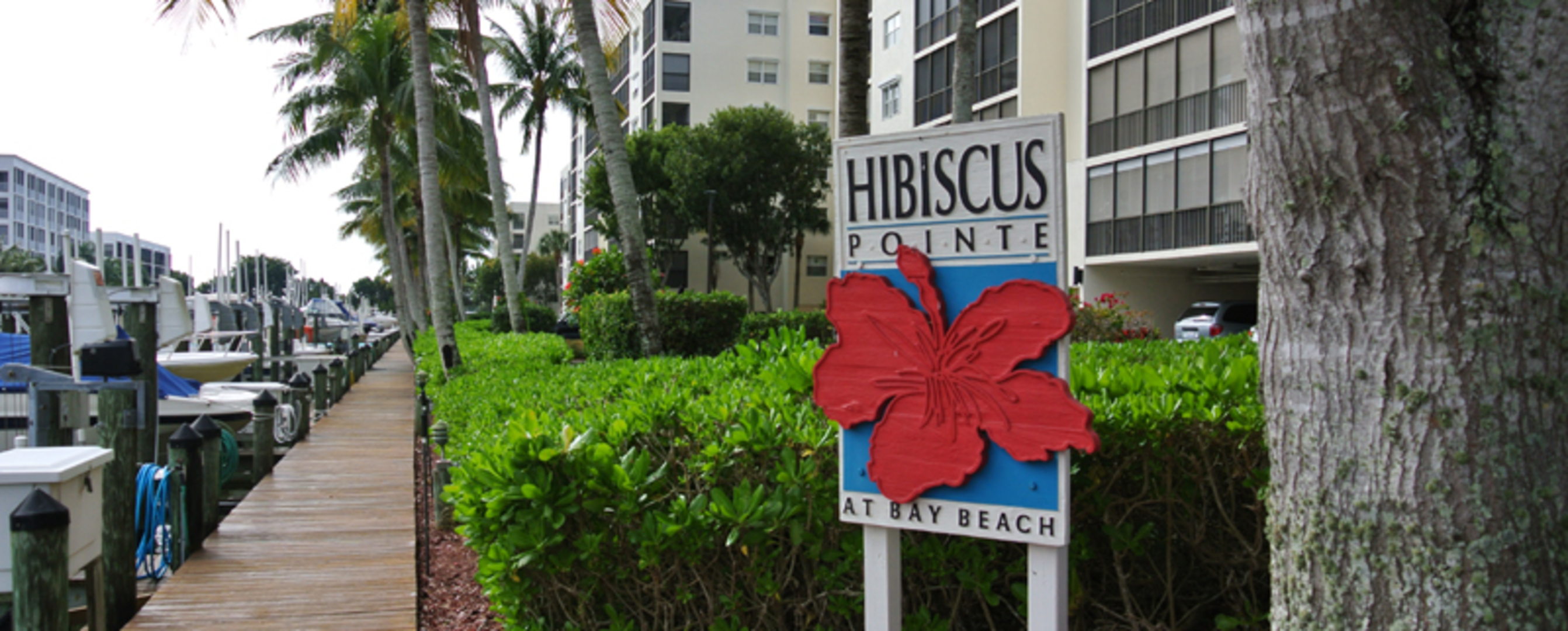 Hibiscus Point'te Lüks Çağdaş Tarzda Daire, Florida Daire 5933