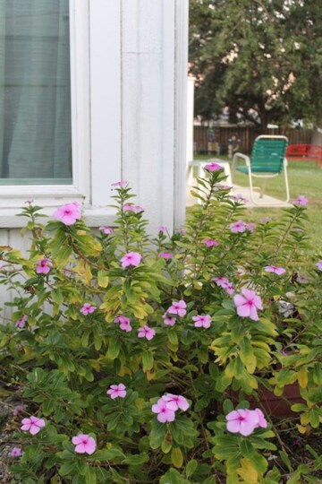 En Prestijli Tatil Yerlerinden Birinde Özel Kır Evi, Collier County, Florida Kır Evi 4062