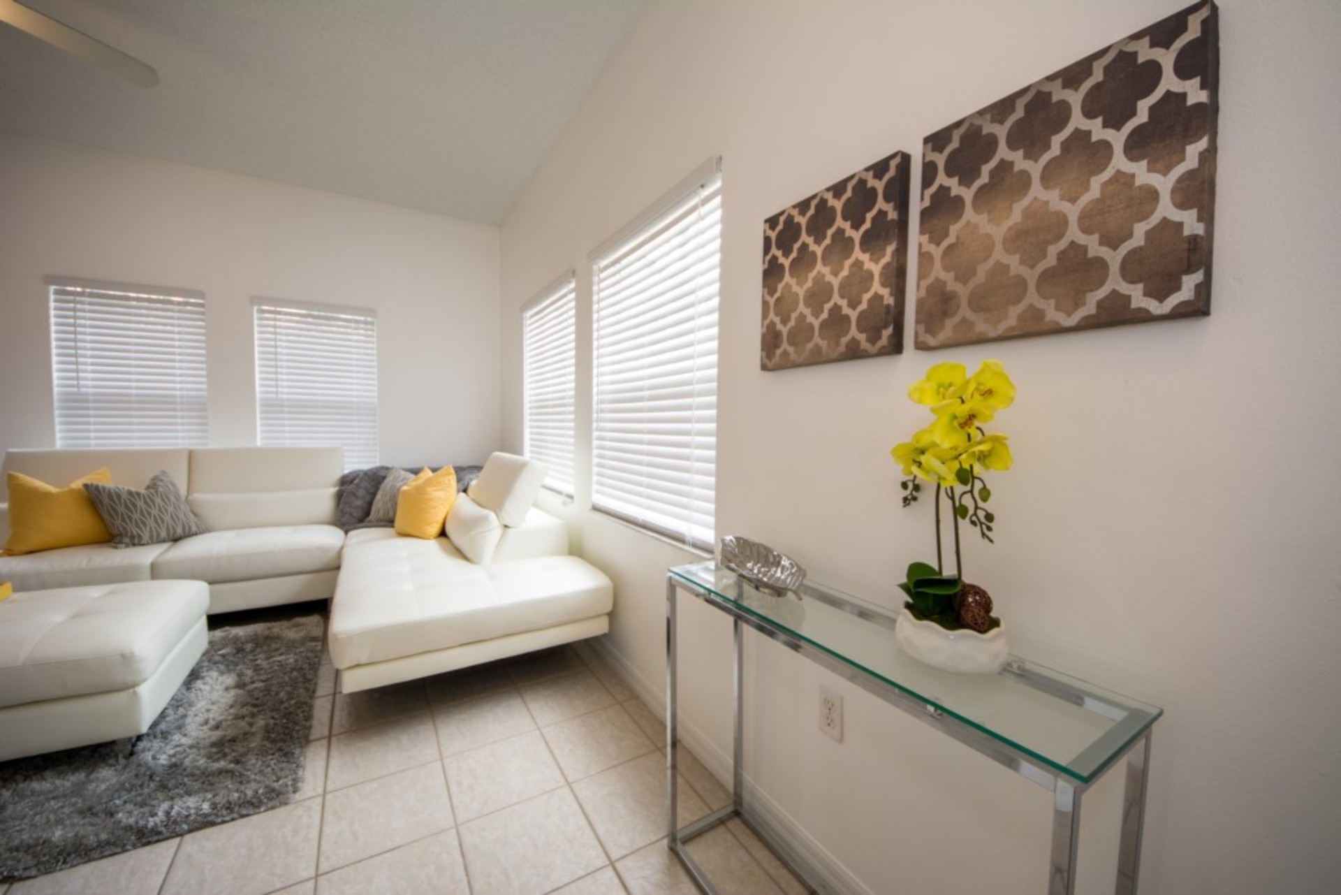 Lüks Çağdaş Tarzda Villa, Florida Villa 6198