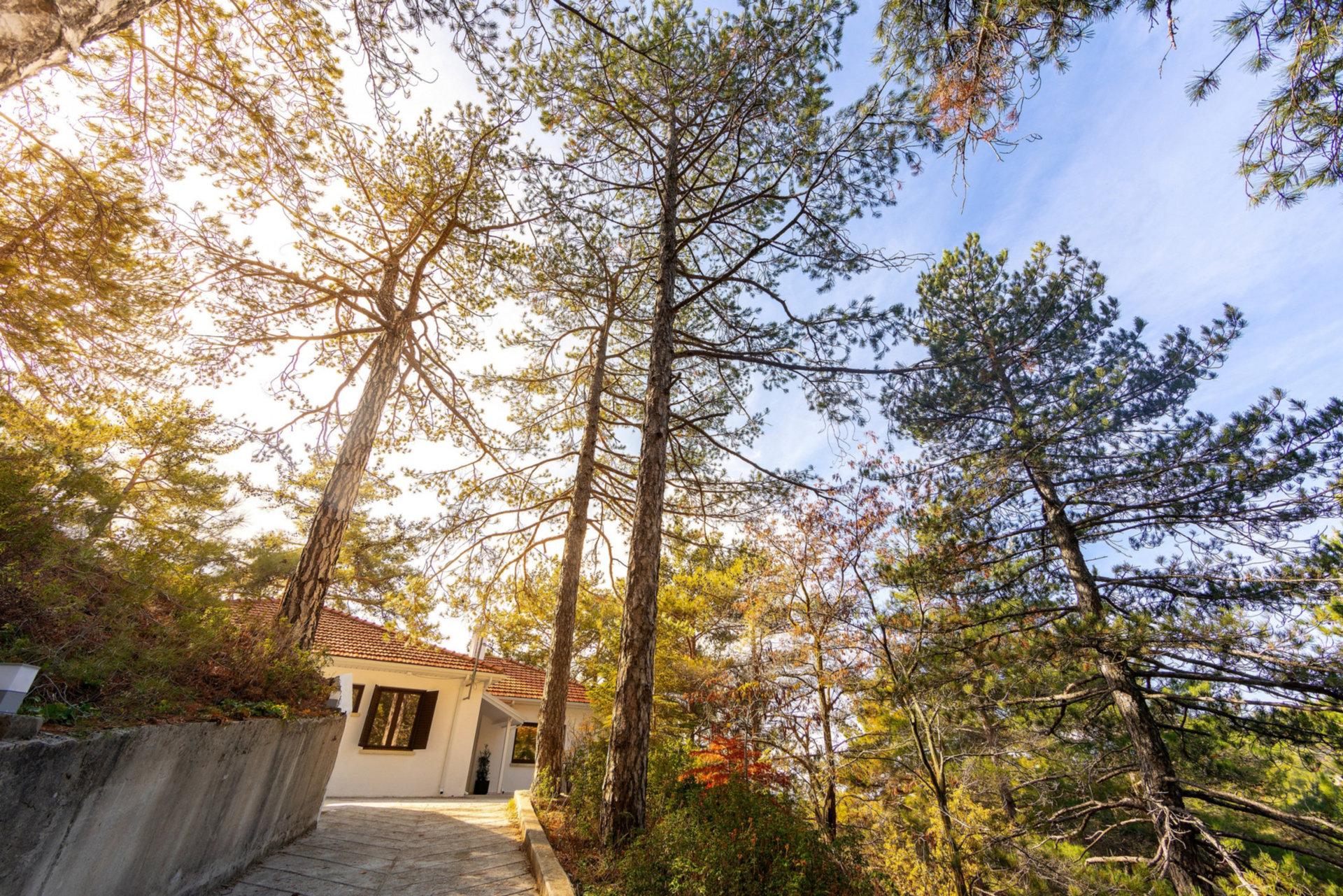 Siz ve Aileniz, güzel Limasol kasabası yakınlarındaki bu Villa'ya bayılacaksınız, Limasol Villa 1004
