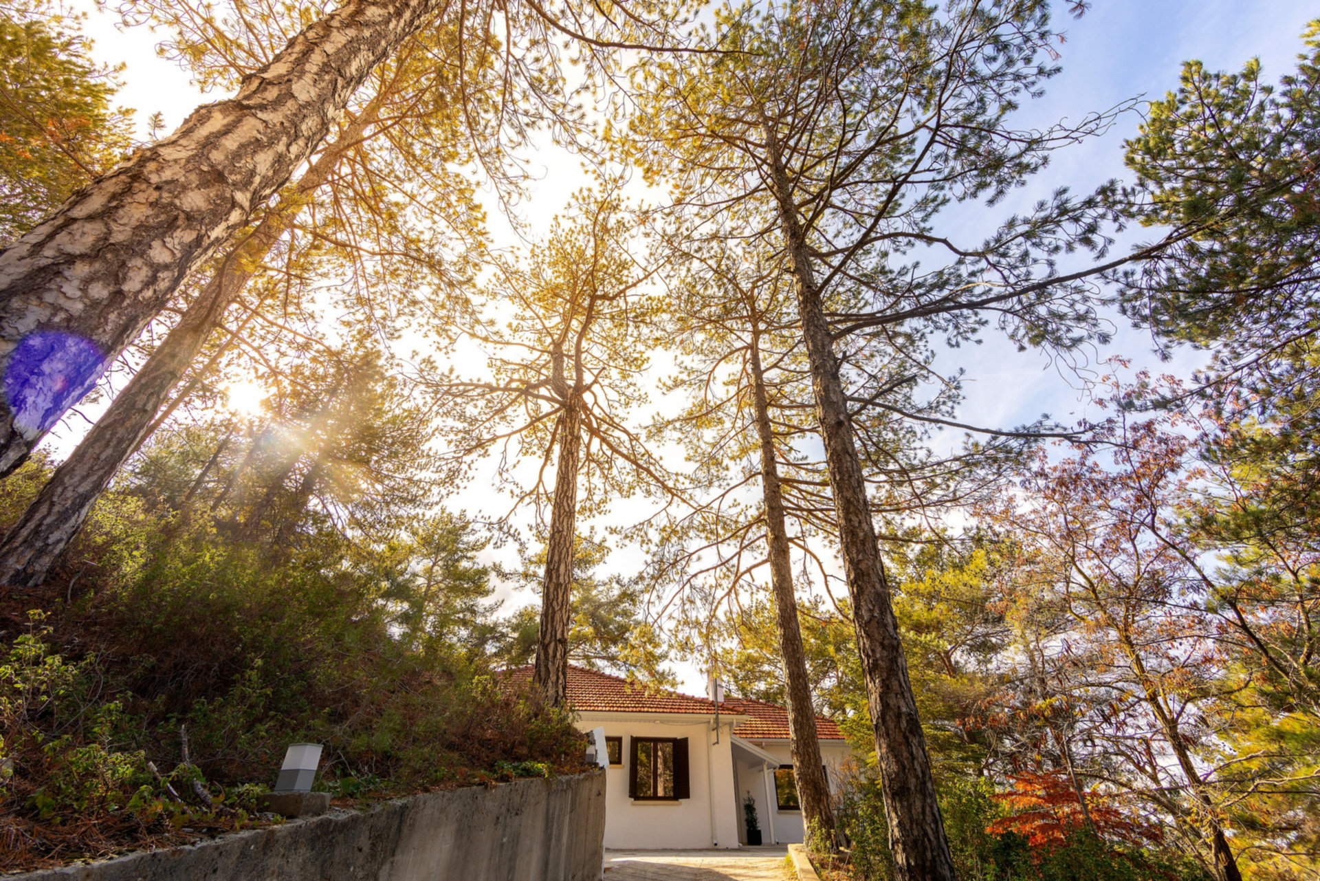Siz ve Aileniz, güzel Limasol kasabası yakınlarındaki bu Villa'ya bayılacaksınız, Limasol Villa 1004