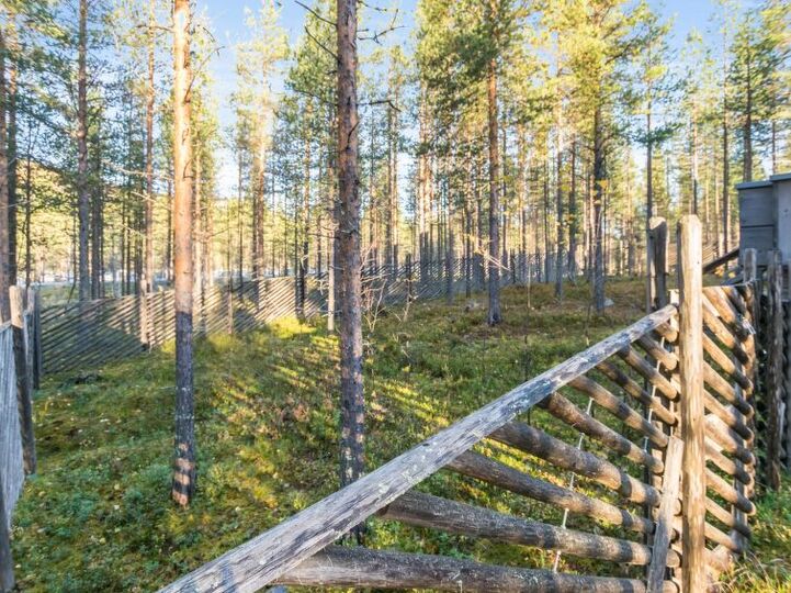 Rahatlama Zamanı, Pelkosenniemi 1266