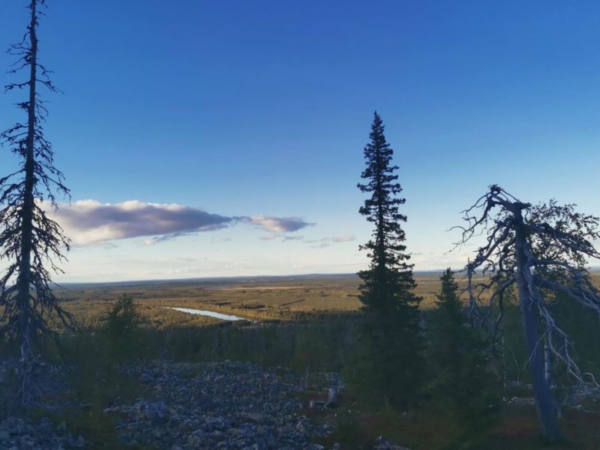 Lapland'ın Gizli 1 Yatak Odalı Vahası, 1278