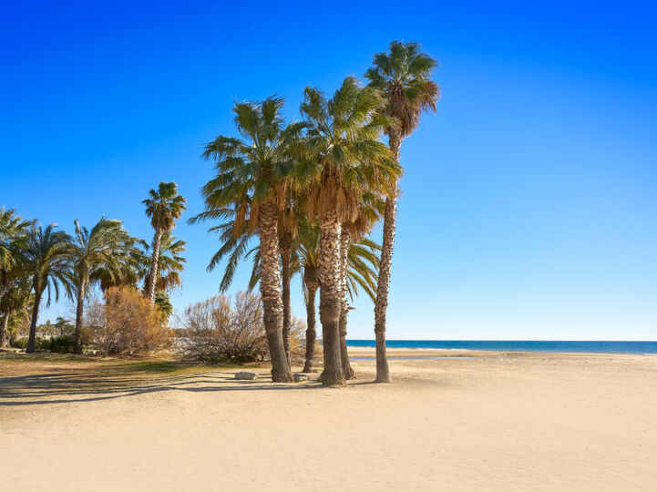 Beach